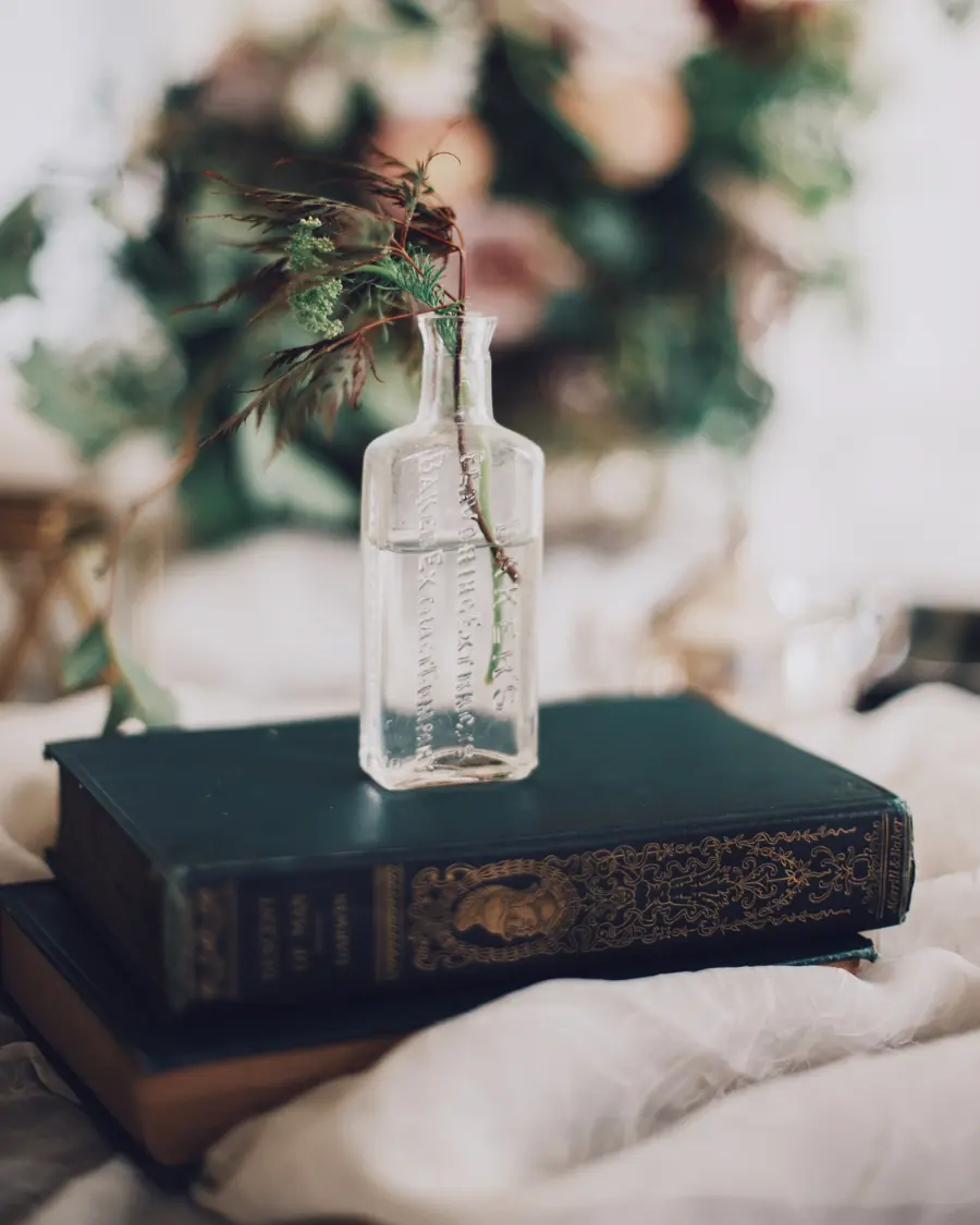 Glasfläschchen mit Zweig auf einem alten Buch